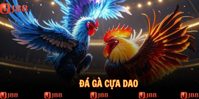 da-ga-cua-dao