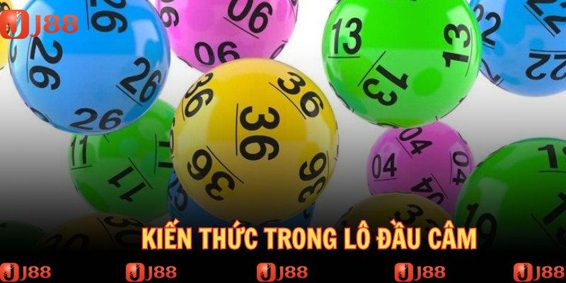 Rất nhiều cách thức bắt đầu cân hiệu quả của cao thủ